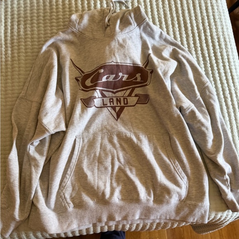 Disney Cars Land Gray Hoodie